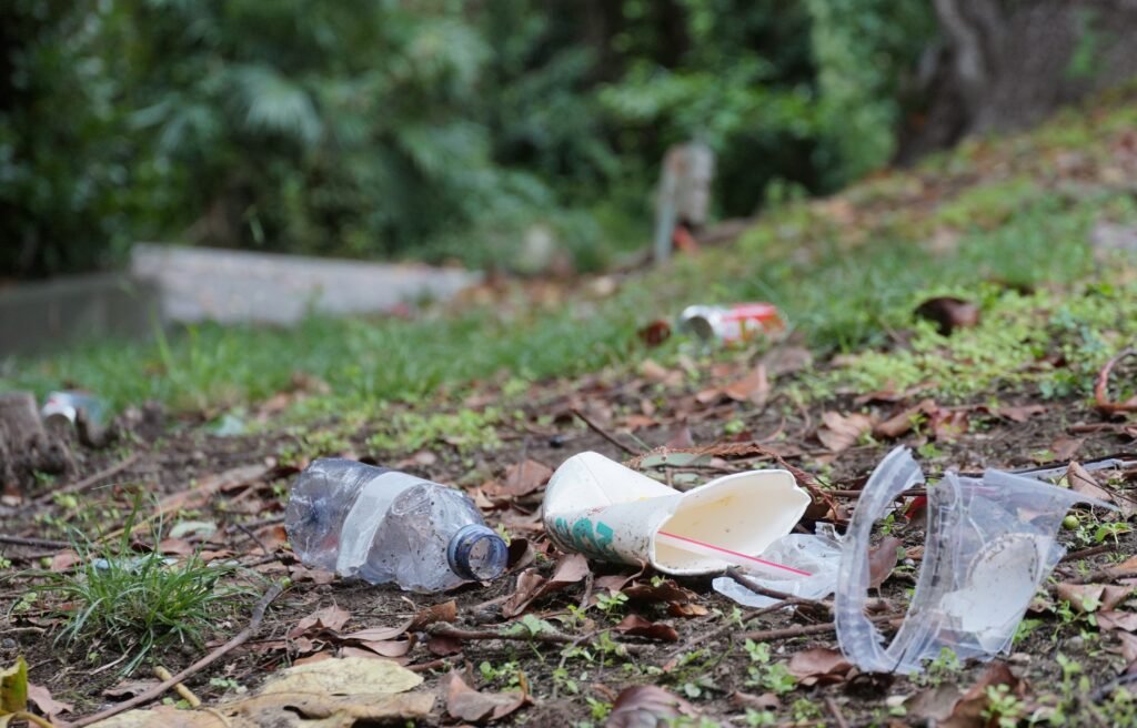 garbage or litter food containers spread in the park polluting the environment and deteriorating the climate.